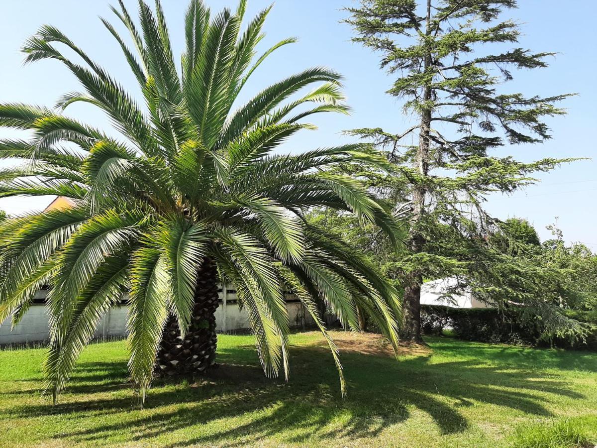 Casa De Verano La Gaviota En Asturias Вилавичоза Екстериор снимка